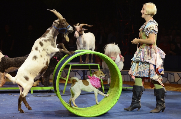 Photo Flash: First Look at Big Apple Circus' METAMORPHOSIS, Hitting Theaters in November 