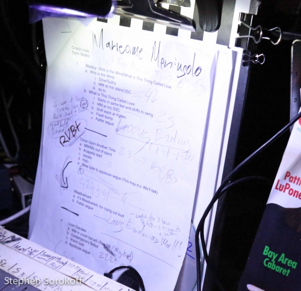 Photo Coverage: Marieann Meringolo Brings CRAZY LOVE to Metropolitan Room Image
