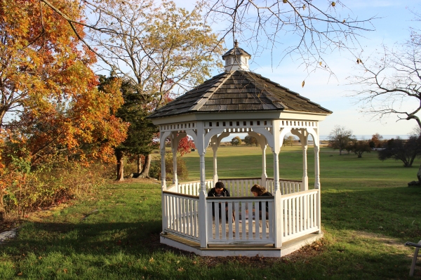 BWW Exclusive: 14 Hours at the National Theater Institute  Image