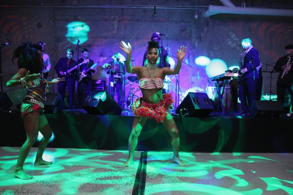 Photo Flash: Cast of FELA! and More Attend the 2014 Malaria No More Gala 