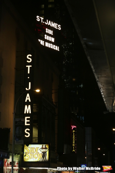 Photo Coverage: SIDE SHOW Opening Night Curtain Call!  Image