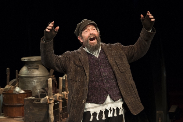 Photo Flash: First Look at the Arena Stage's FIDDLER ON THE ROOF Starring Ann Arvia, Jonathan Hadary and More!  Image