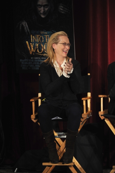 Photo Flash: Meryl Streep, Emily Blunt, and More INTO THE WOODS Stars Participate in Live Q&A Image