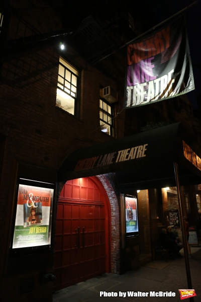Photos: Opening Night of Joy Behar's ME, MY MOUTH AND I  Image