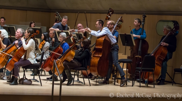 BWW Exclusive: A First Look at The Second City Live with the Toronto Symphony Orchestra Image