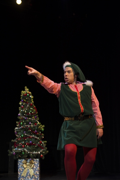 Photo Flash: First Look at RLTP's THE SANTALAND DIARIES Image