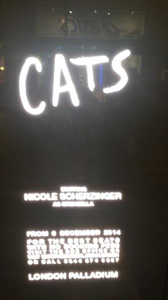 Photo Coverage: Pics Of The London Palladium, New Home Of CATS, Starring Scherzinger! 