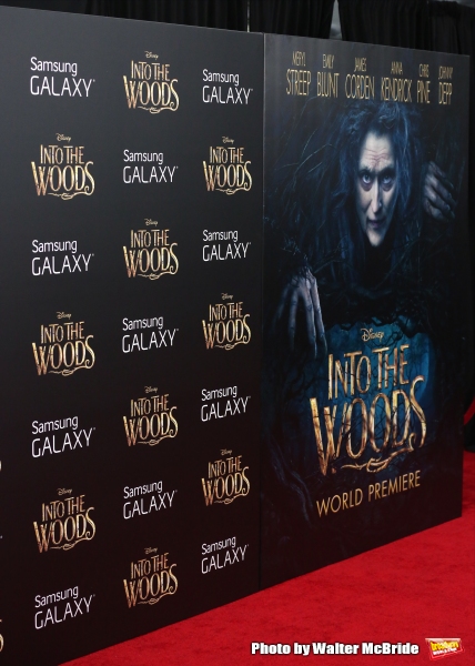 Photo Coverage: Wishes Come True! On the Red Carpet at the INTO THE WOODS NYC Premiere - Part 1 Image