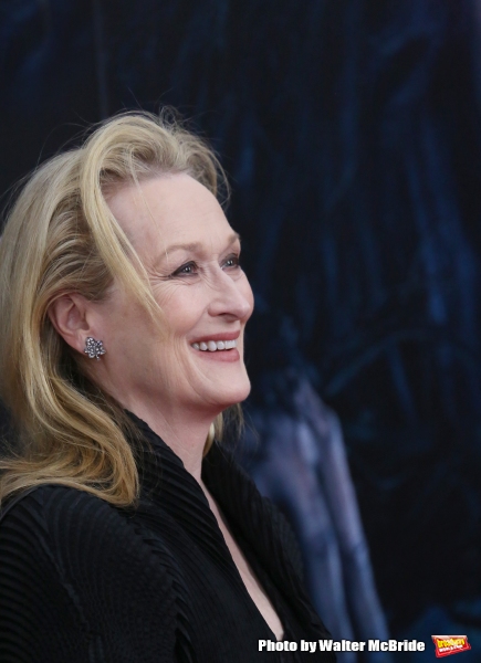 Photo Coverage: Wishes Come True! On the Red Carpet at the INTO THE WOODS NYC Premiere - Part 1 Image