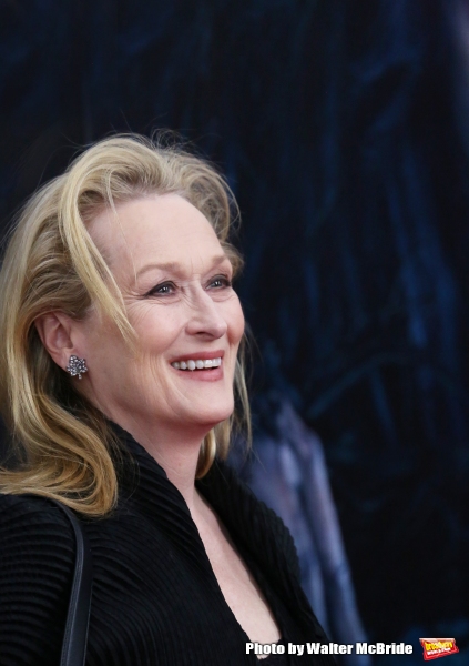 Photo Coverage: Wishes Come True! On the Red Carpet at the INTO THE WOODS NYC Premiere - Part 1 