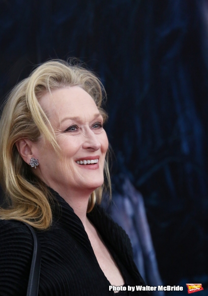 Photo Coverage: Wishes Come True! On the Red Carpet at the INTO THE WOODS NYC Premiere - Part 1 Image