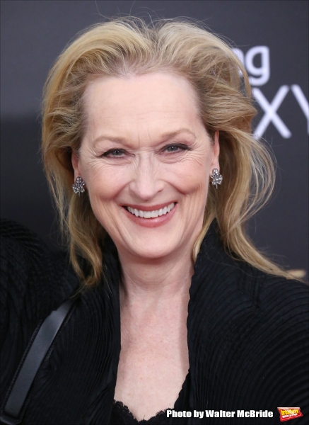 Photo Coverage: Wishes Come True! On the Red Carpet at the INTO THE WOODS NYC Premiere - Part 1 Image