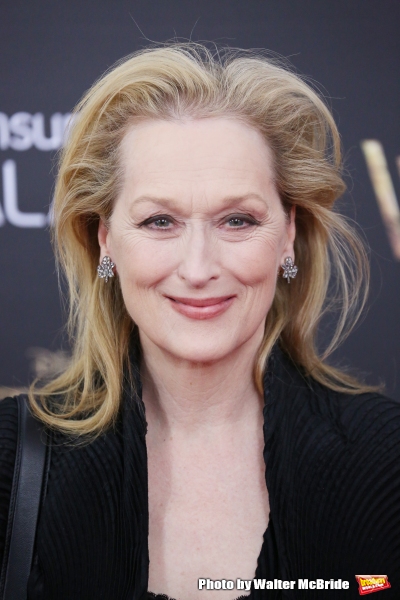 Photo Coverage: Wishes Come True! On the Red Carpet at the INTO THE WOODS NYC Premiere - Part 1 Image