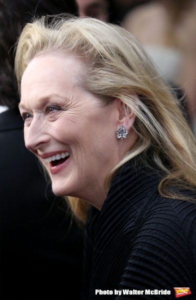Photo Coverage: Wishes Come True! On the Red Carpet at the INTO THE WOODS NYC Premiere - Part 1 Image