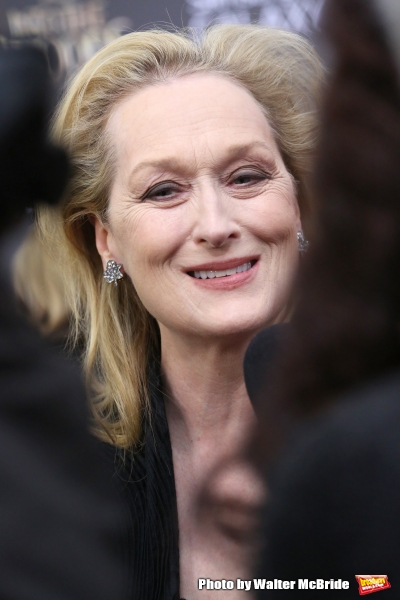 Photo Coverage: Wishes Come True! On the Red Carpet at the INTO THE WOODS NYC Premiere - Part 1 Image