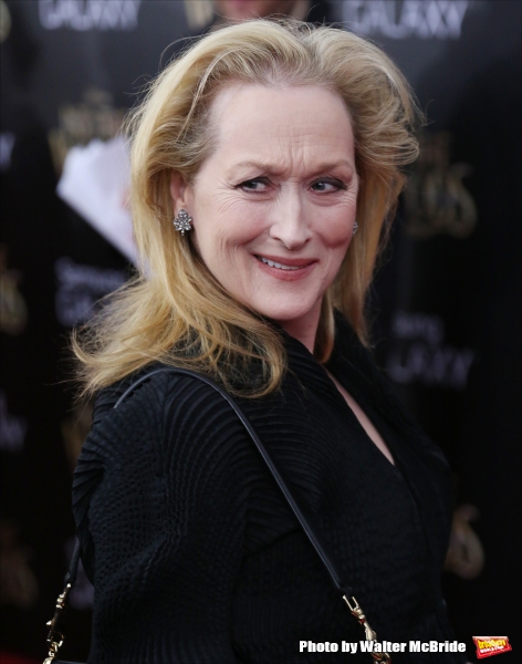 Photo Coverage: Wishes Come True! On the Red Carpet at the INTO THE WOODS NYC Premiere - Part 1 Image