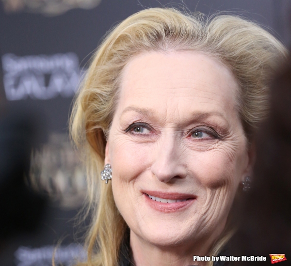 Photo Coverage: Wishes Come True! On the Red Carpet at the INTO THE WOODS NYC Premiere - Part 1 Image