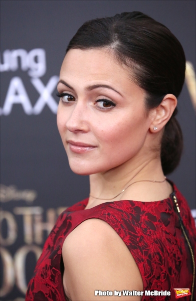 Photo Coverage: Wishes Come True! On the Red Carpet at the INTO THE WOODS NYC Premiere - Part 2 Image