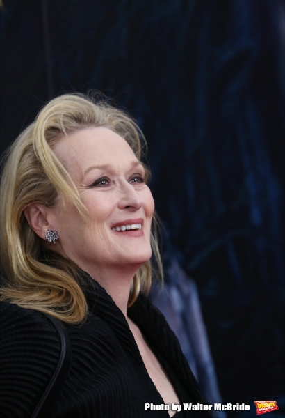 Photo Coverage: Wishes Come True! On the Red Carpet at the INTO THE WOODS NYC Premiere - Part 2  Image