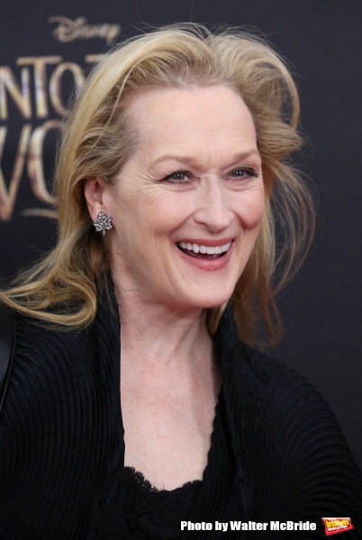 Photo Coverage: Wishes Come True! On the Red Carpet at the INTO THE WOODS NYC Premiere - Part 2  Image