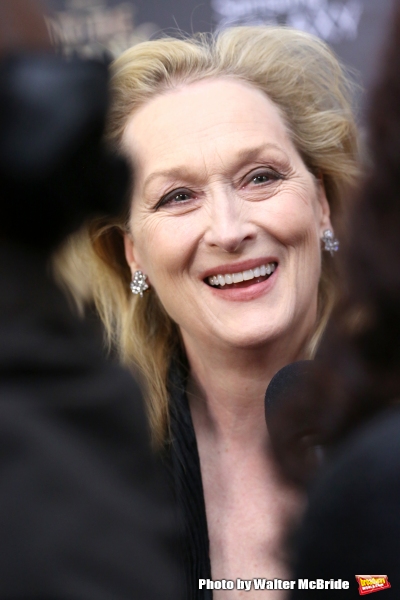 Photo Coverage: Wishes Come True! On the Red Carpet at the INTO THE WOODS NYC Premiere - Part 2 