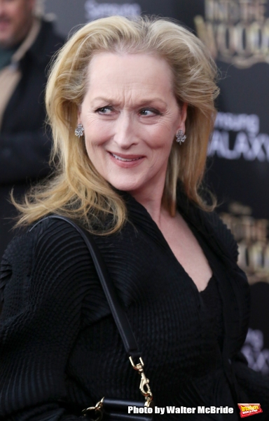 Photo Coverage: Wishes Come True! On the Red Carpet at the INTO THE WOODS NYC Premiere - Part 2  Image