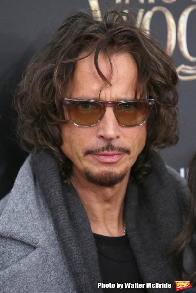 Photo Coverage: Wishes Come True! On the Red Carpet at the INTO THE WOODS NYC Premiere - Part 2  Image