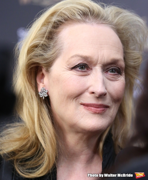 Photo Coverage: Wishes Come True! On the Red Carpet at the INTO THE WOODS NYC Premiere - Part 2 