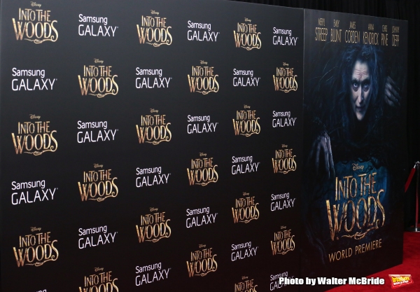 Photo Coverage: All of the INTO THE WOODS Red Carpet Fashions! Image