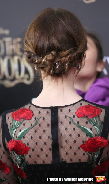 Photo Coverage: All of the INTO THE WOODS Red Carpet Fashions! Image