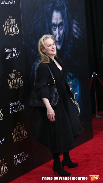 Photo Coverage: All of the INTO THE WOODS Red Carpet Fashions! Image