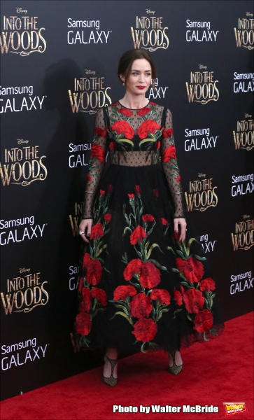 Photo Coverage: All of the INTO THE WOODS Red Carpet Fashions! 