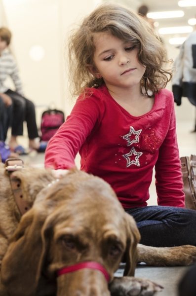 Photo Coverage: Dr. Phillips Center Previews Variety of School of Arts Classes Image