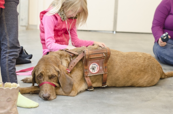 Photo Coverage: Dr. Phillips Center Previews Variety of School of Arts Classes Image