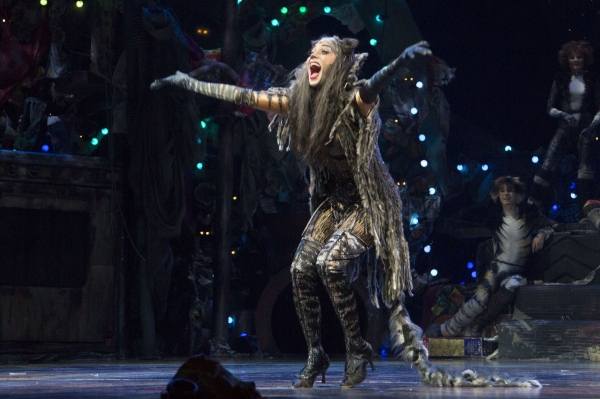 Photo Coverage: Scherzinger, Lloyd Webber, Paige And More At First Night Of CATS! Image