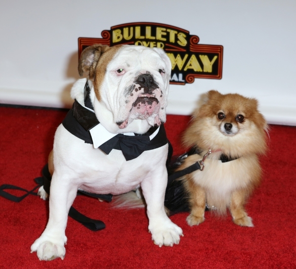 Photo Flashback: The Year That Was- Celebrating 2014 on the Red Carpet! Image