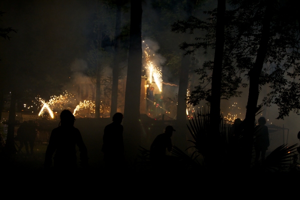 Photo Flash: Wordless Music Orchestra and the Lost Bayou Ramblers to Perform Live Accompaniment for BEASTS OF THE SOUTHERN WILD Screening Image