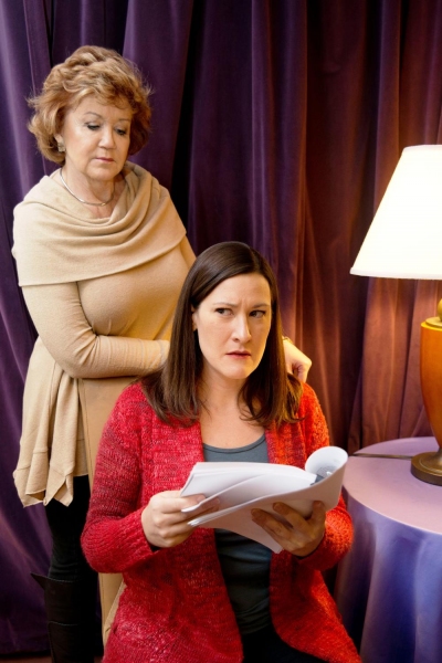 Photo Flash: First Look at Vintage Theatre's OTHER DESERT CITIES Image