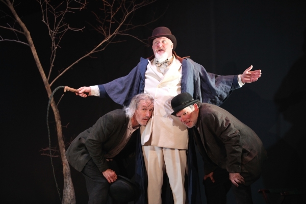 Photo Flash: First Look at Cincinnati Shakespeare's WAITING FOR GODOT Image