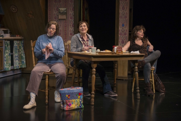 Photo Flash: First Look at Michael Elich, Laura Gordon and More in Milwaukee Rep's GOOD PEOPLE 