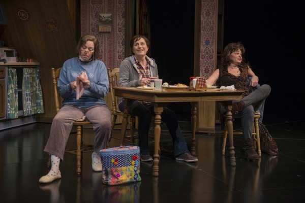 Photo Flash: First Look at Michael Elich, Laura Gordon and More in Milwaukee Rep's GOOD PEOPLE Image