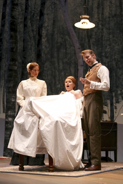 Photo Flash: First Look at Syracuse Stage's IN THE NEXT ROOM Image