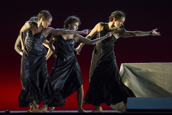 Photo Flash: First Look at Lyric Opera of Chicago's TANNHAUSER, Starring Johan Botha Image