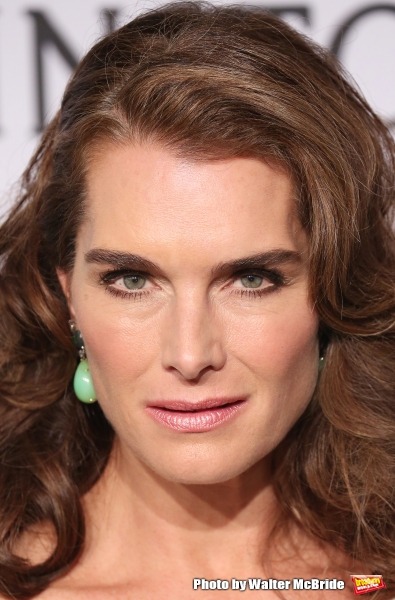 Photo Coverage: On the amfAR 2015 New York Gala Black Carpet with Paris Hilton, Kendall Jenner, and More! Image