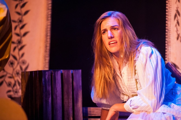 Photo Flash: First Look at Theatre Project and TP&co's TWELFTH NIGHT Image