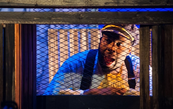 Photo Flash: First Look at Theatre Project and TP&co's TWELFTH NIGHT Image