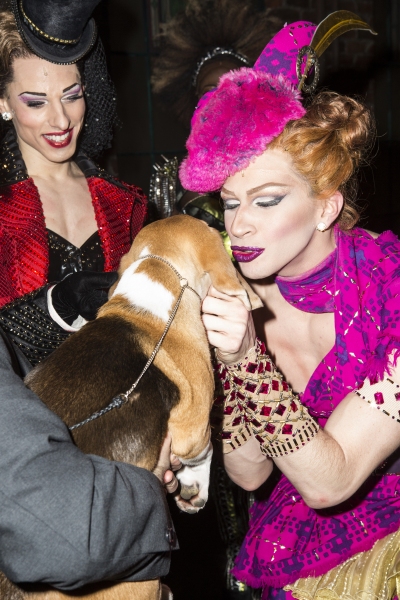 Photo Coverage: Westminster Best in Show Winner Miss P. Makes Broadway Debut in KINKY BOOTS! Image