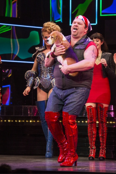 Photo Coverage: Westminster Best in Show Winner Miss P. Makes Broadway Debut in KINKY BOOTS! Image
