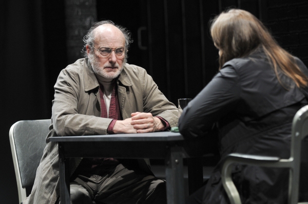 Photo Flash: First Look at Merritt Wever & More in MCC's THE NETHER! Image