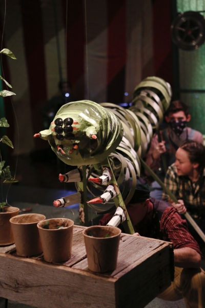 Photo Flash: First Look at Quest Theatre Ensemble's TOMATO QUEEN Image